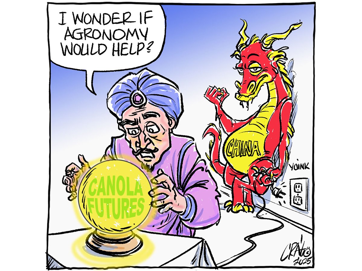 Reform Party offers riddle, ideology and enigma