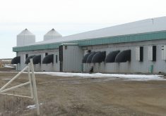 The exterior of a hog barn in Manitoba.