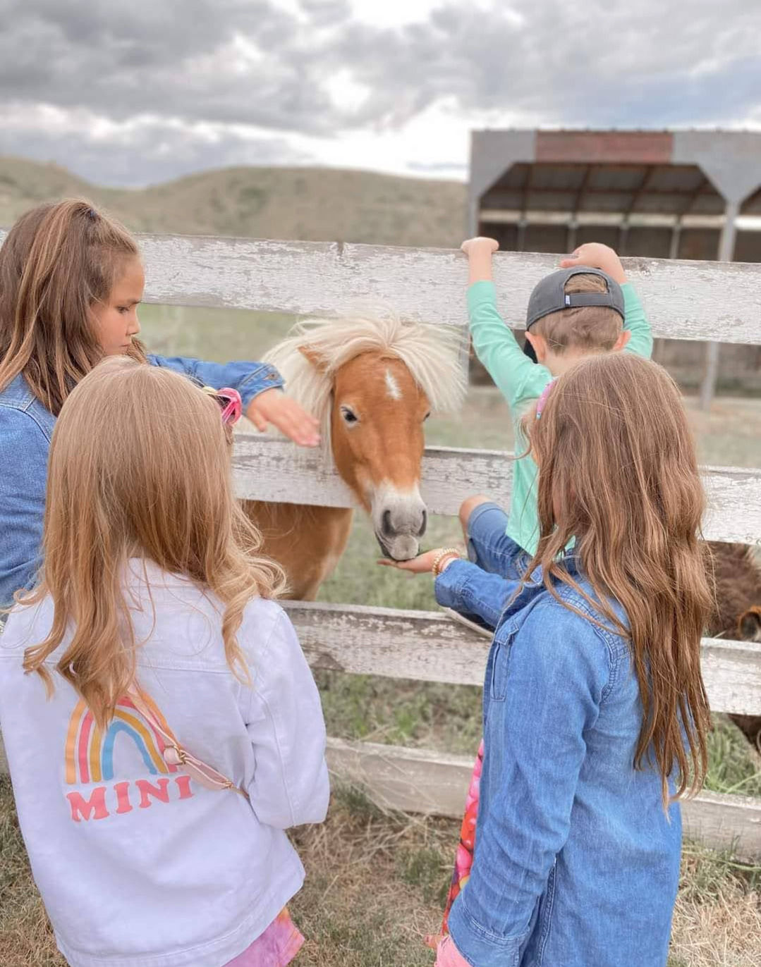 Kids feed a pony through a fence at the White Barn Fun Farm.