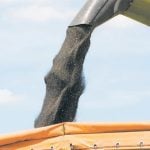 Canola seed flows out the end of a combine's auger into a truck.