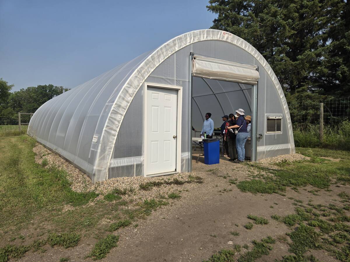 A high tunnel greenhouse at Assiniboine College's North Hill Campus in Brandon , Manitoba.