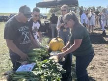 A man and a woman stand over a table loaded with fresh produce, including corn and a pumpkin.