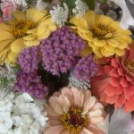 Close-up of a boquet of colourful flowers.