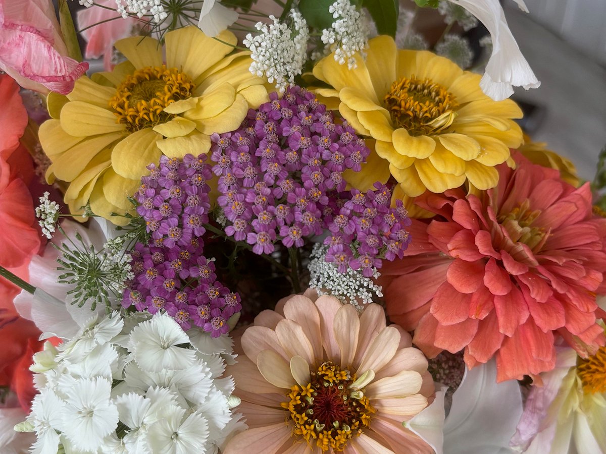 Close-up of a boquet of colourful flowers.