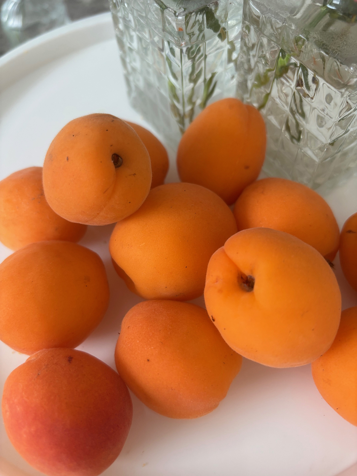 A close-up of some ripe apricots in a white tray.