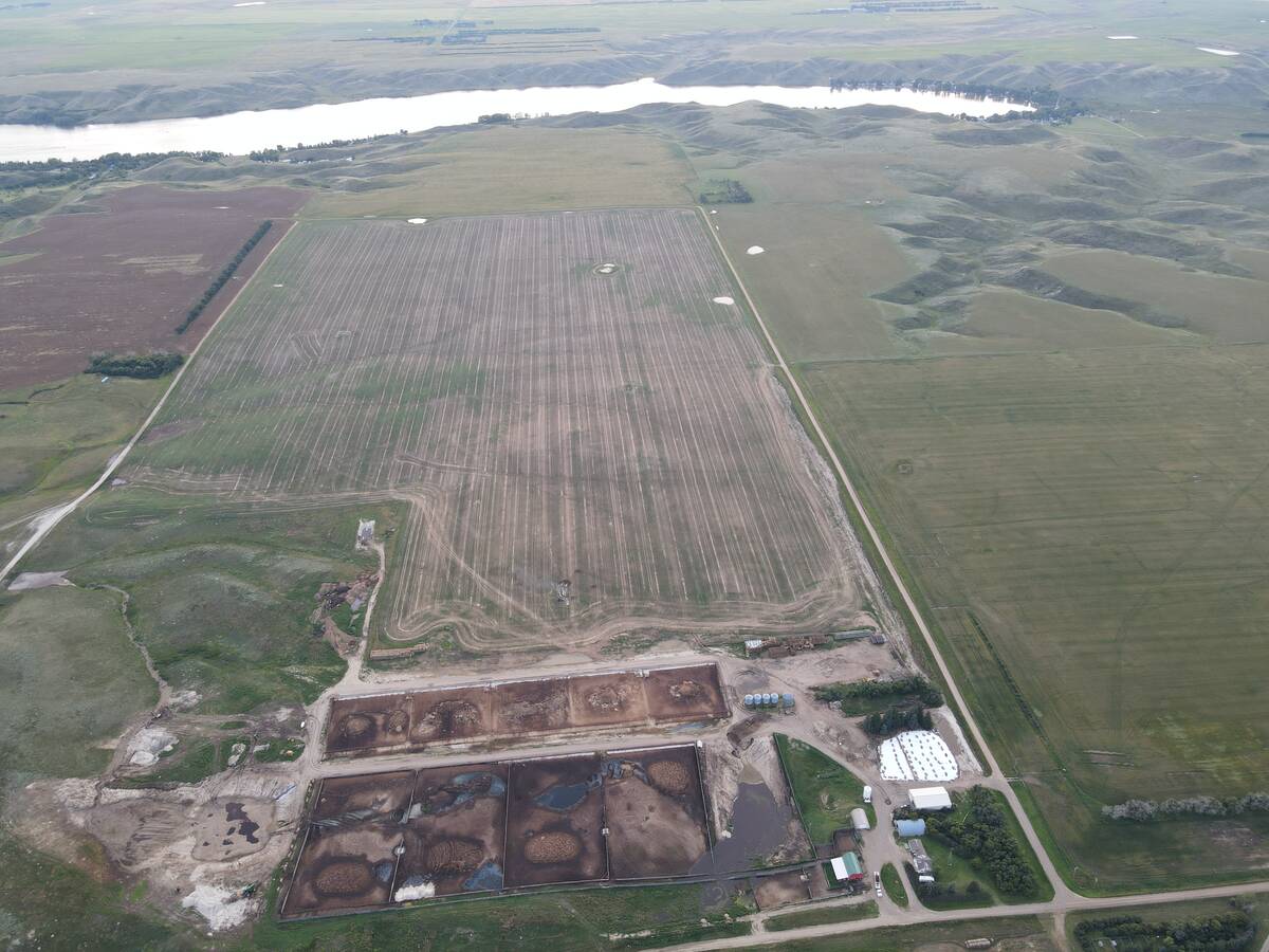 feedlot Lac Pelletier Saskatchewan