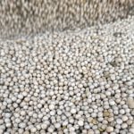 Yellow pea prices collapse on lack of demand