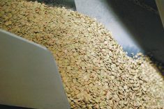 green lentils