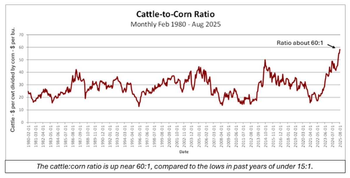 John DePutter chart