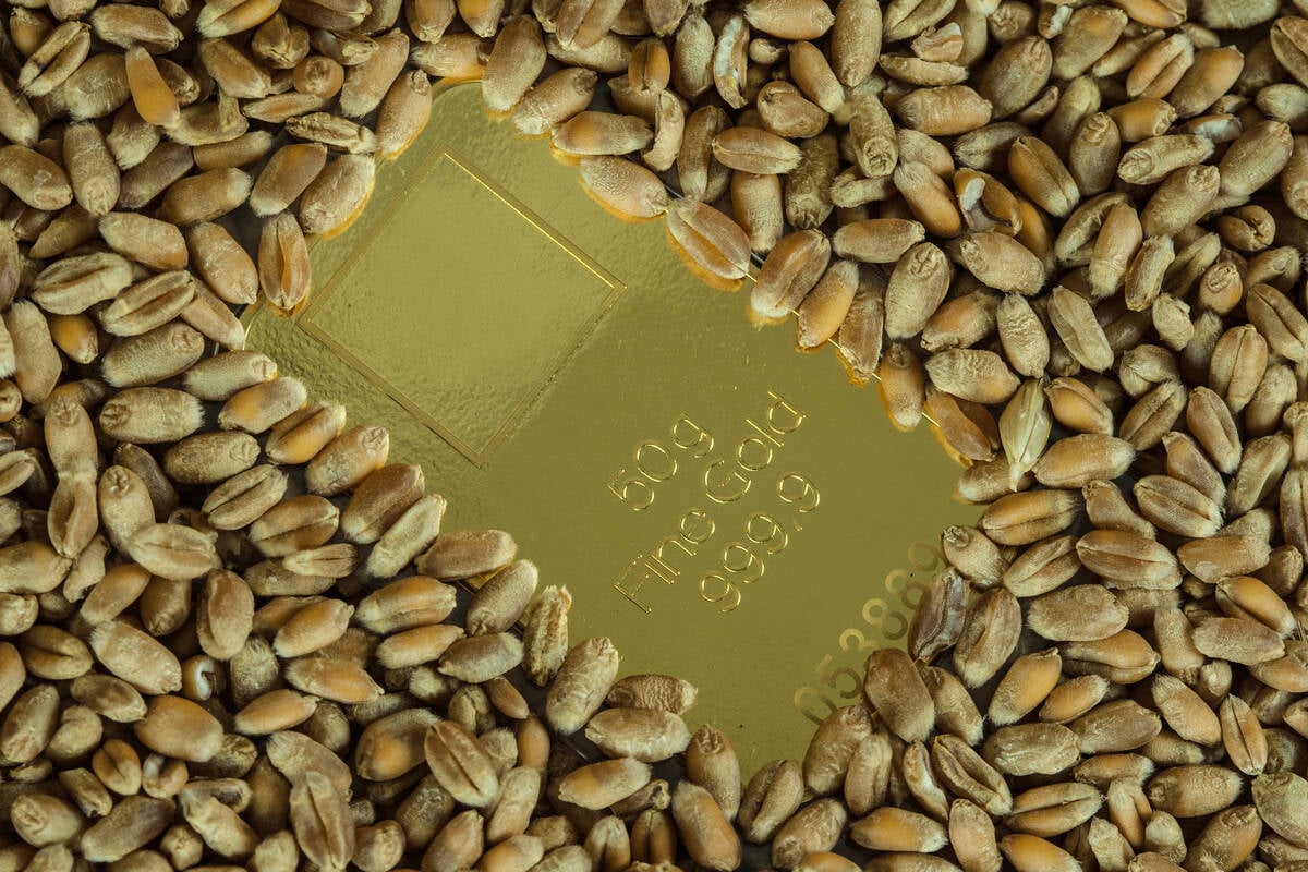 Grain as the gold of the future. Pic: Edgar G. Biehle/iStock/Getty Images