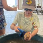 Open Farm Day