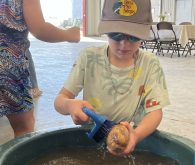 Open Farm Day