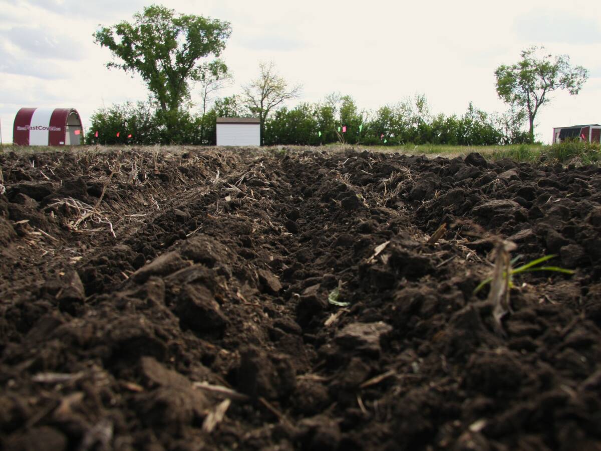freshly seeded soil near Langham, Sask. Photo: Janelle Rudolph