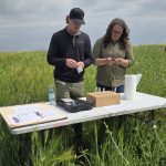 Neal Wagar with EcoTea and Mary-Jane Orr, general manager of Manitoba Beef and Forage Initiatives, test soil treated with EcoTea during a field day at the organization's Brookdale farm on Aug. 12, 2025. Photo: Miranda Leybourne