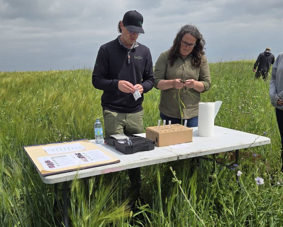 Neal Wagar with EcoTea and Mary-Jane Orr, general manager of Manitoba Beef and Forage Initiatives, test soil treated with EcoTea during a field day at the organization's Brookdale farm on Aug. 12, 2025. Photo: Miranda Leybourne