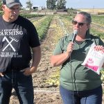 Farm to Table Sugar beets