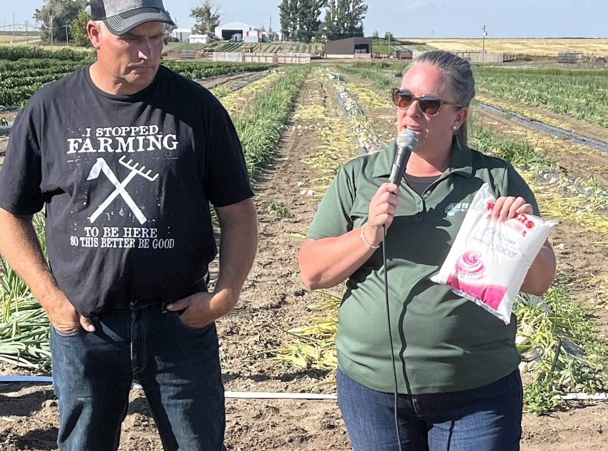 Farm to Table Sugar beets