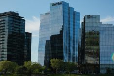 Photo: Liam O’Connor