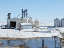 A seed cleaning plant is surrounded by melting snow and above a slough in spring time.