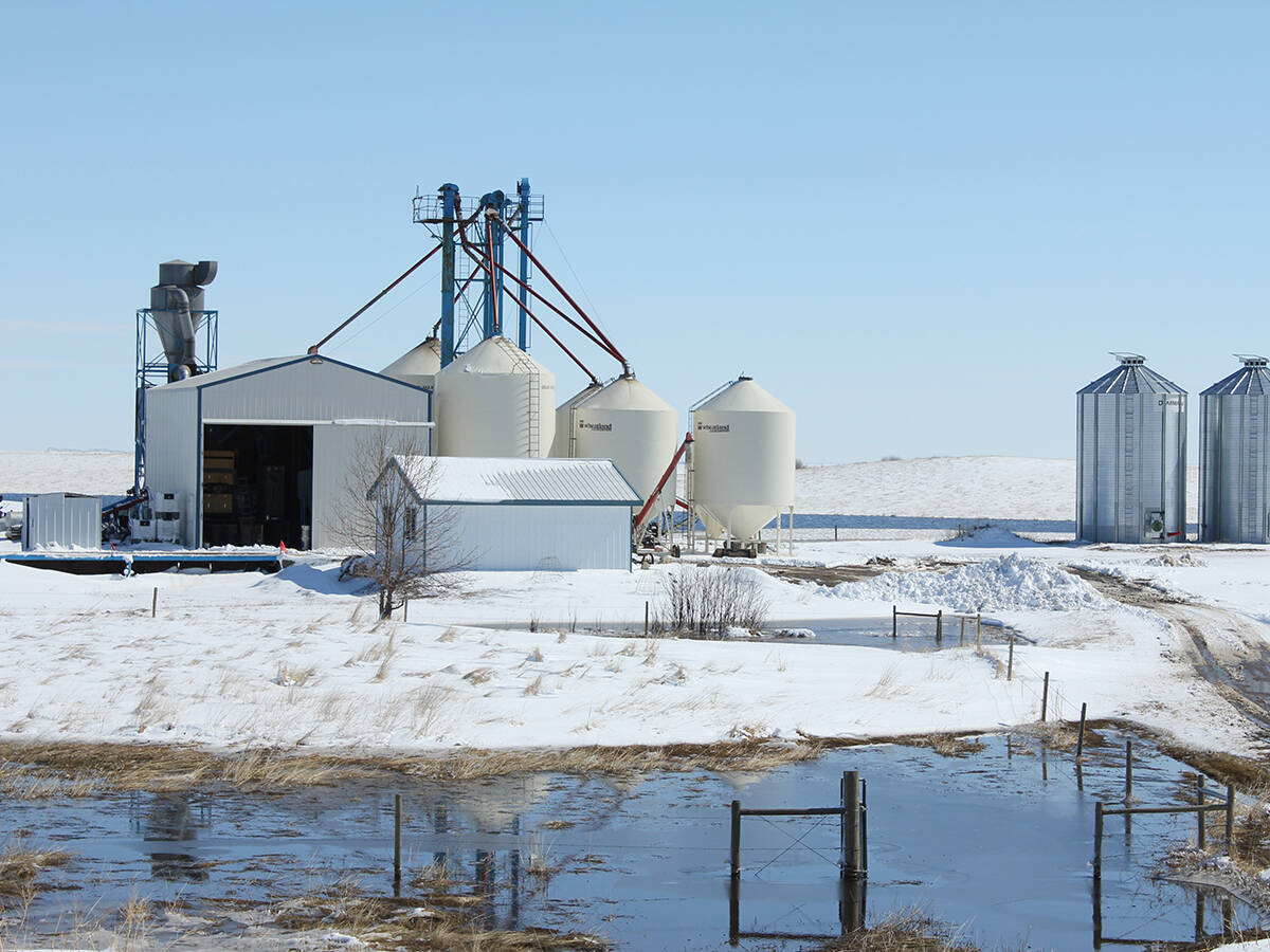 A seed cleaning plant is surrounded by melting snow and above a slough in spring time.