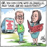 A federal government provinces can work with