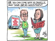 A federal government provinces can work with