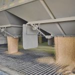 Worrisome drop in grain prices