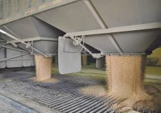 Grain is dumped from the bottom of a trailer at an inland terminal.