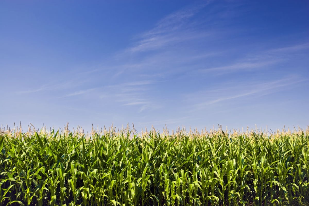 Photo: Thinkstock