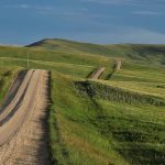 A gravel road runs alongside a lush green pasture in slightly hilly terrain.