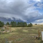 A clear view of a storm front as the cloud moves in over a prairie yard site.