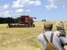 An older male farmer holds a young, blonde child and points toward a red combine in a recently-harvested wheat field about 40 metres away.