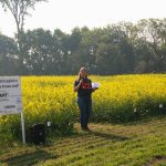 Kaeley Kindrachuk of SaskOilseeds stands in front of some canola trial plots at a Northeast Agriculture Research Foundation field day near Melfort, Saskatchewan.