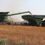 A john Deere combine augers peas into a hopper cart pulled by a large, tracked John Deere tractor.
