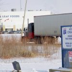 A truck enters the Maple Leaf Foods pork processing plant in Brandon, Man. Photo: Alexis Stockford