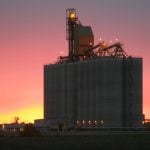 Trucks were busy hauling grain into the North West Terminal in Unity, Sask., Sept. 20.