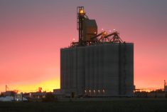 Trucks were busy hauling grain into the North West Terminal in Unity, Sask., Sept. 20.