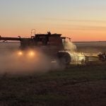 A combine harvests a crop, kicking up lots of dust, near sunset southeast of Delisle, Saskatchewan, September 2025.