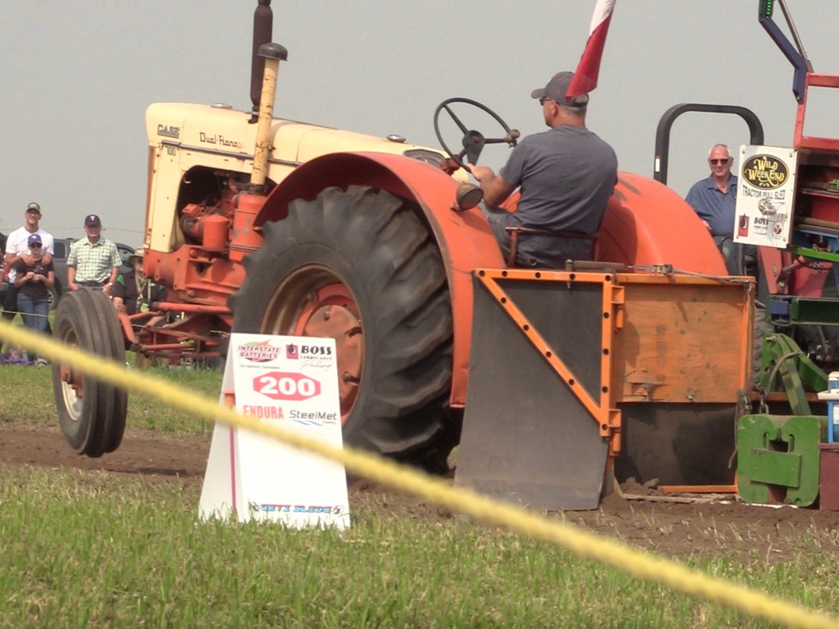 An antique tractor' front end rises into the air as its driver takes part part in a tractor pull while fans look on at the Ag in Motion Farm show near Langham, Saskatchewan, during the July 2025 show.