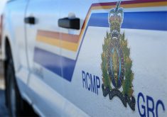A close-up of the door of a white police vehicle featuring the logo and blue, red and yellow striping of the Royal Canadian Mounted Police.