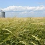 StatCan stands by its model-based crop forecast