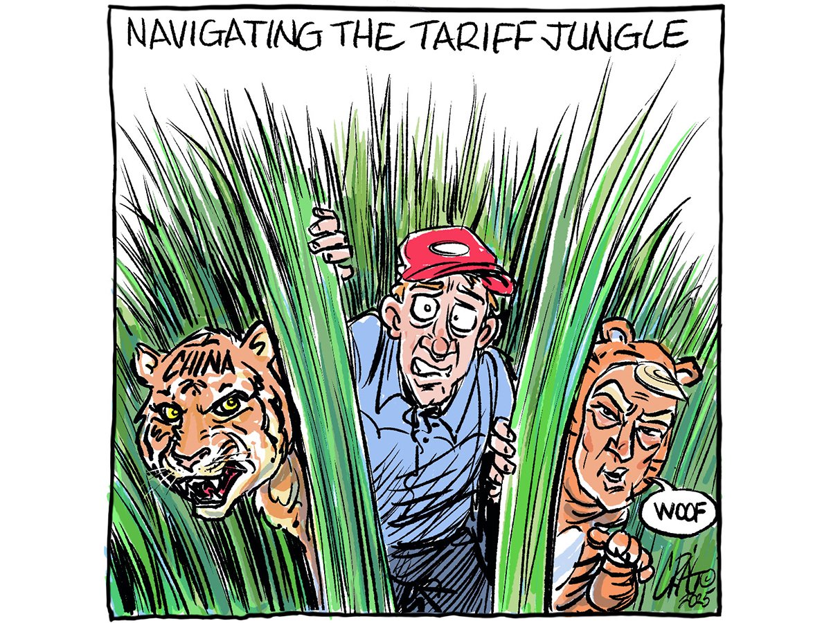 A cartoon depicting a farmer in a red ball cap peering nervously out of some long grass between a tiger with