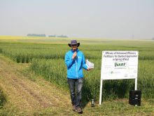 A man in a Tilley hat stands in front of a research plot next to a sign that reads, "Efficacy of Enhanced Efficiency Fertilizers for Banded Application in Spring Wheat."