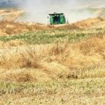 A green combine kicks up dust as it moves through a fields of swathed canola.