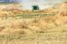 A green combine kicks up dust as it moves through a fields of swathed canola.