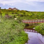 Opimihaw Creek, with a small bridge across it, in Wanuskewin Heritage Park.