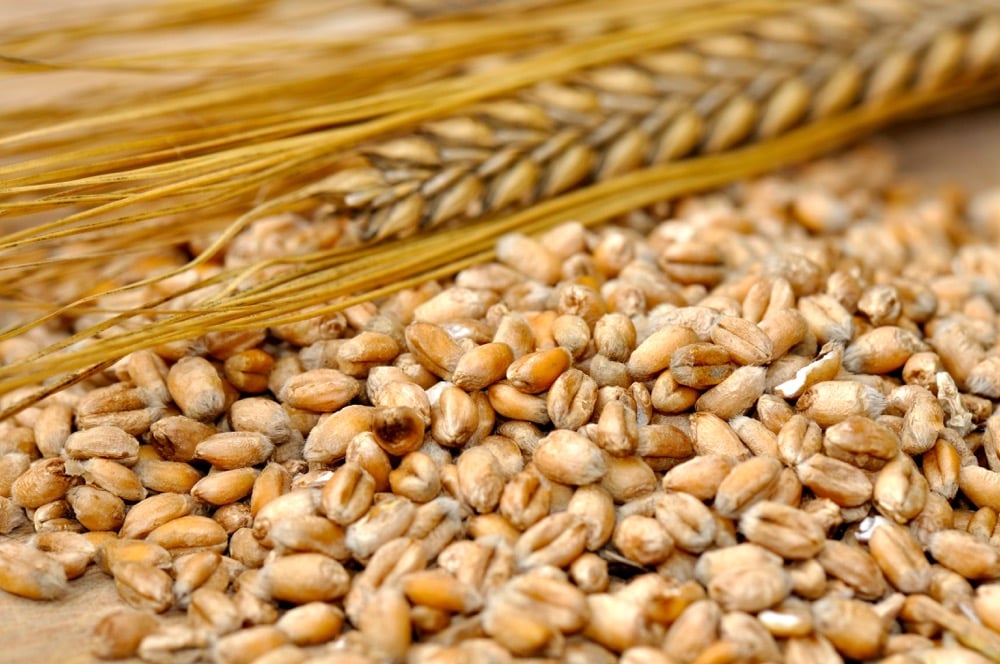 Photo: Thinkstock