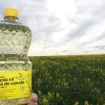 Rising vegetable oil demand may offset bad biofuel news