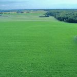Green farm fields in Ontario.