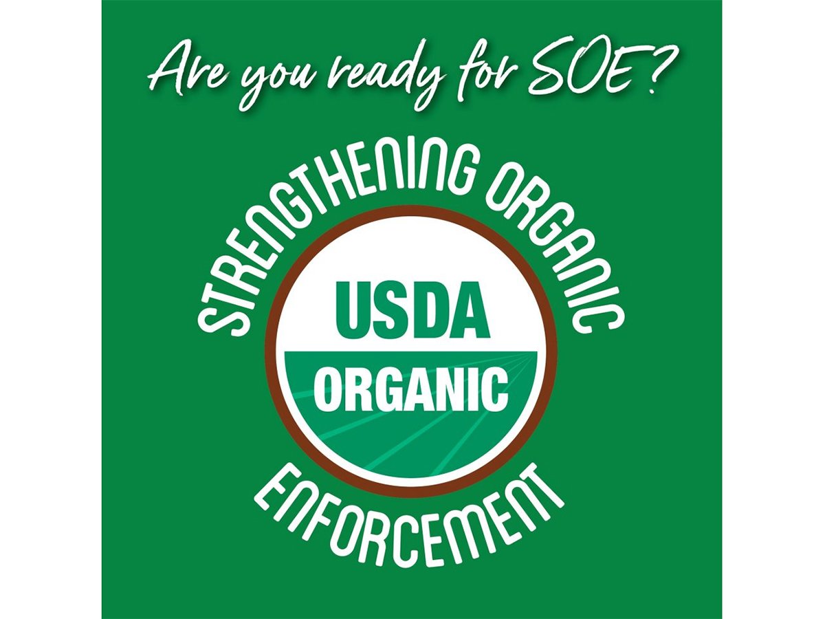 A green square graphic with the words,
